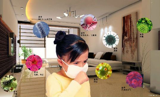 杭州甲醛检测告诉你室内空气生物污染不可忽略！